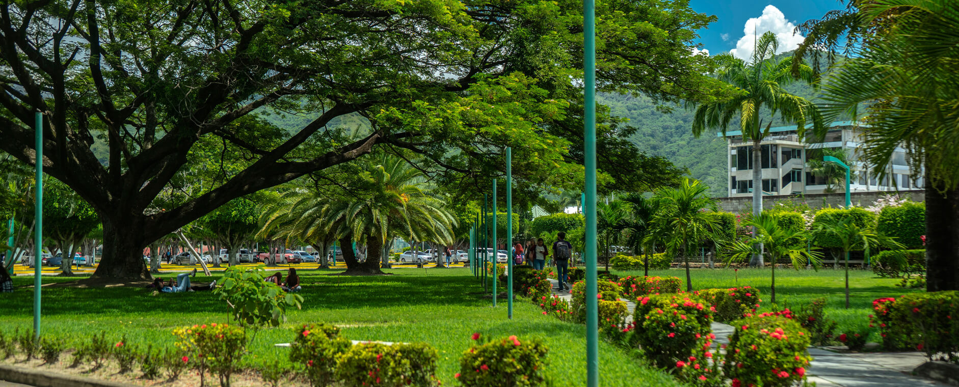 Suiting up for your success