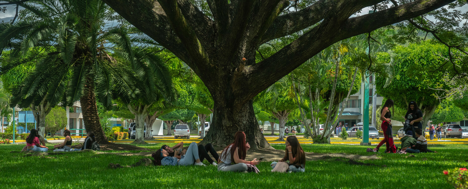 Creativity that drives innovation